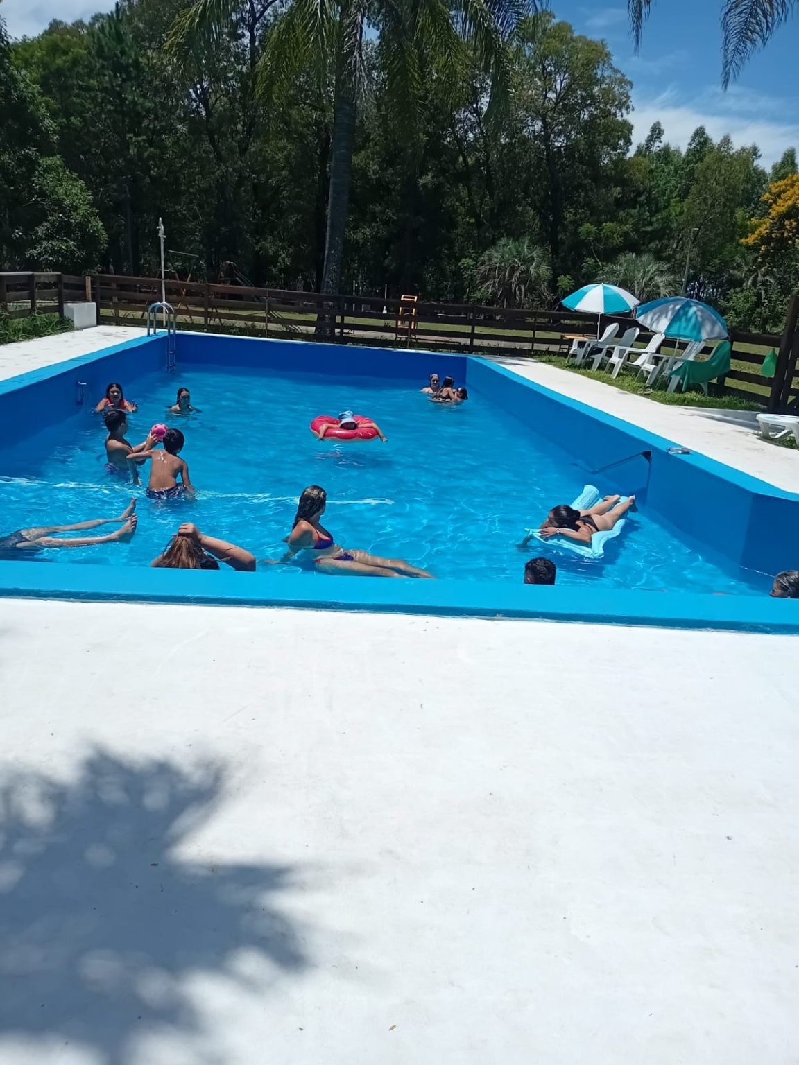 WhatsApp Image 2026-01-02 at 09.27.20