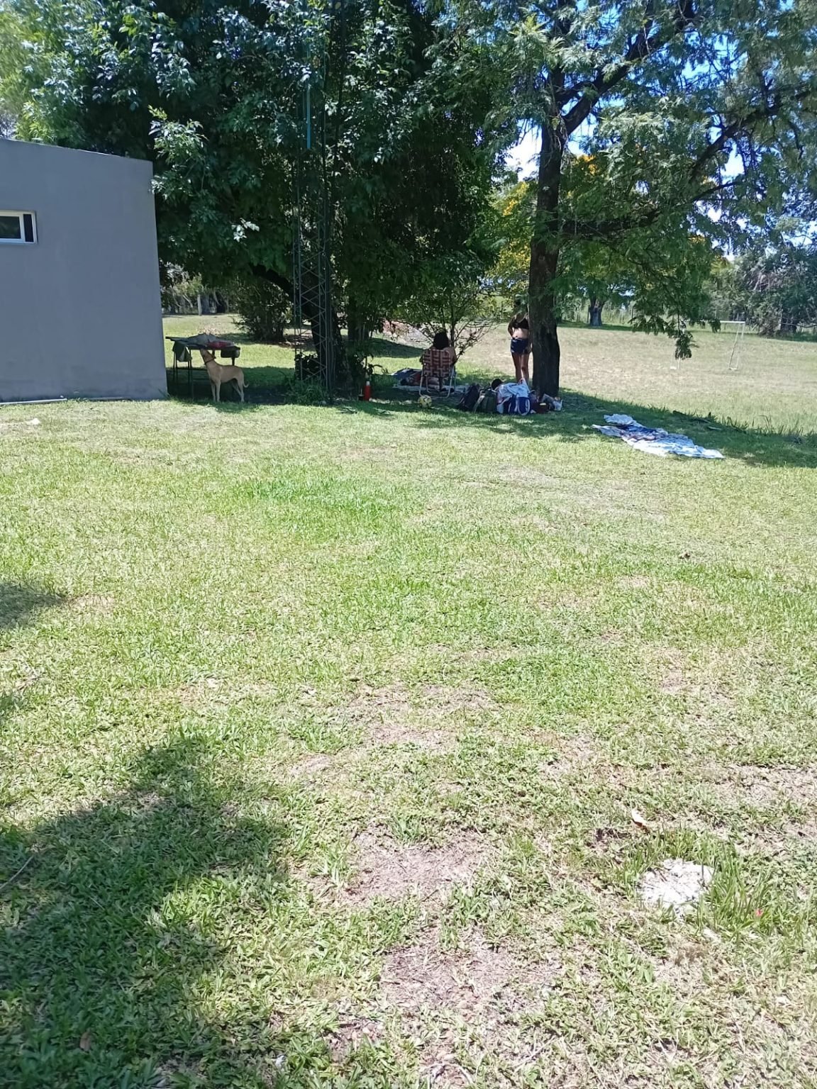 WhatsApp Image 2026-01-02 at 09.27.21