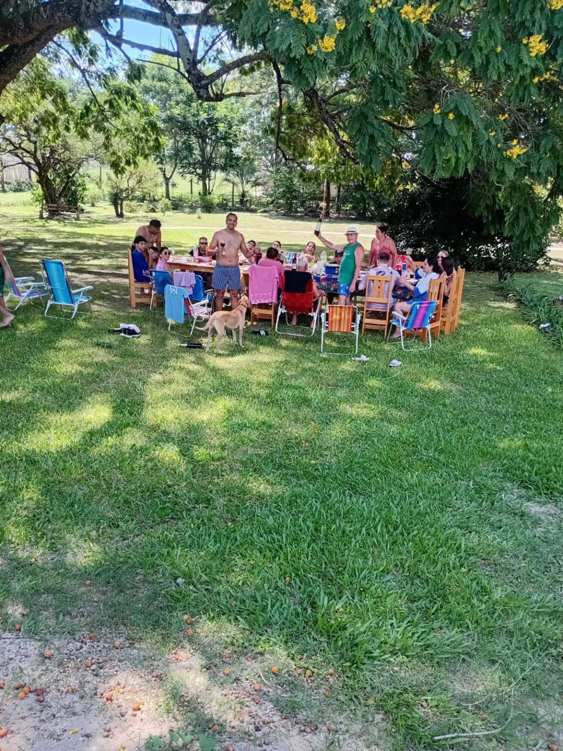 WhatsApp Image 2026-01-02 at 09.27.23